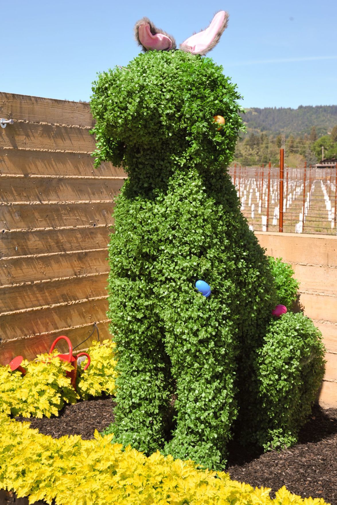 The 'Easter Dog'